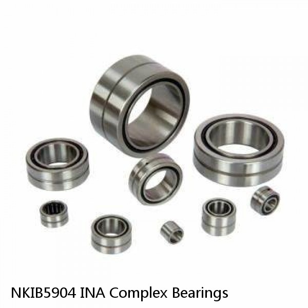 NKIB5904 INA Complex Bearings