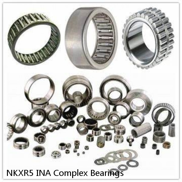NKXR5 INA Complex Bearings