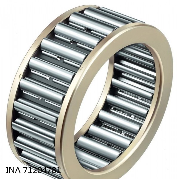 71204781 INA Needle Roller Bearings