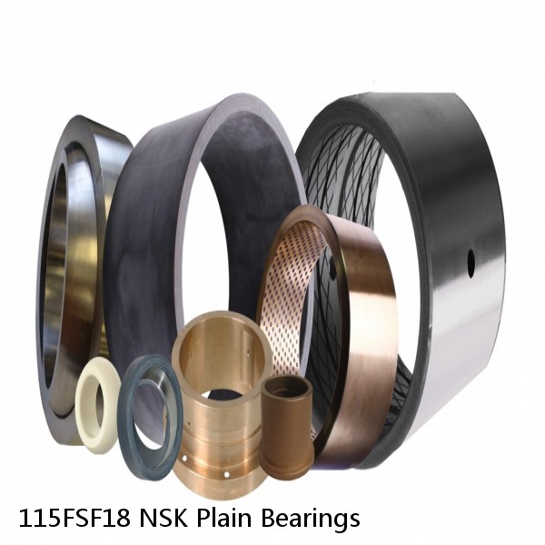 115FSF18 NSK Plain Bearings