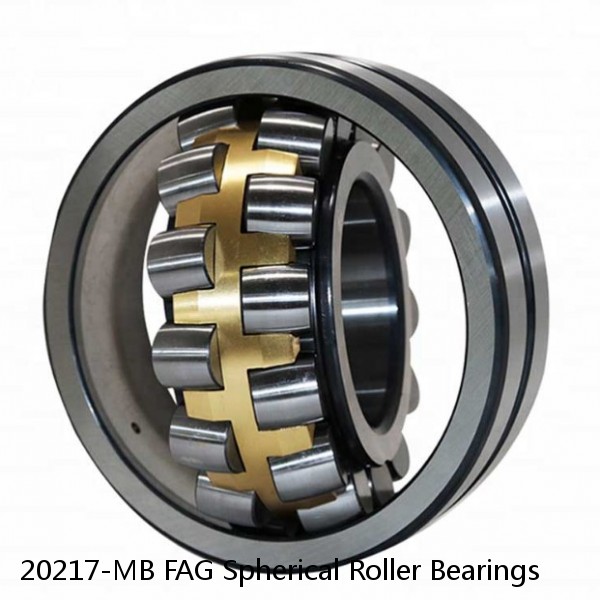 20217-MB FAG Spherical Roller Bearings