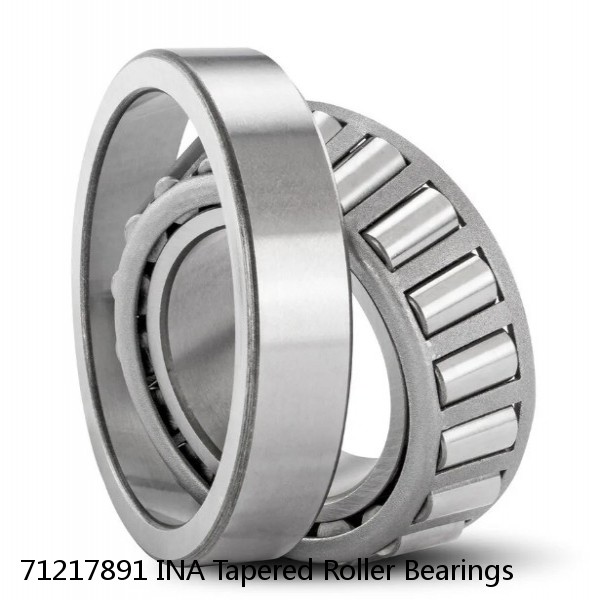 71217891 INA Tapered Roller Bearings