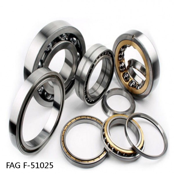 F-51025 FAG Cylindrical Roller Bearings