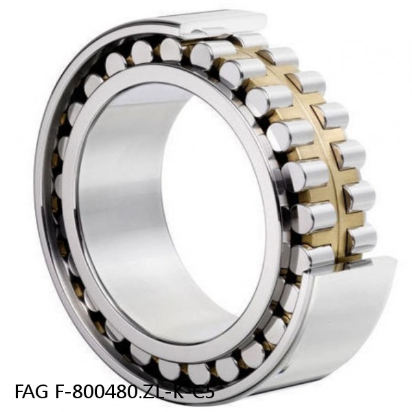 F-800480.ZL-K-C5 FAG Cylindrical Roller Bearings #1 small image