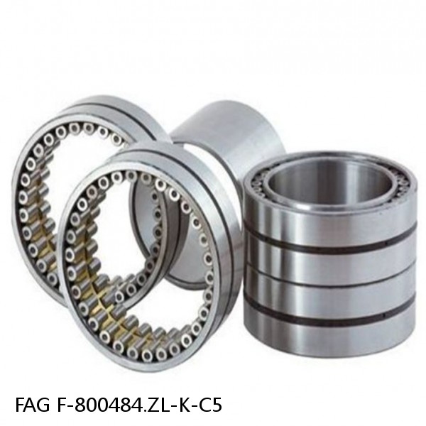 F-800484.ZL-K-C5 FAG Cylindrical Roller Bearings