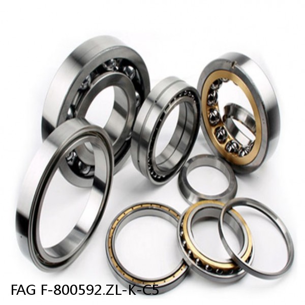 F-800592.ZL-K-C5 FAG Cylindrical Roller Bearings #1 small image