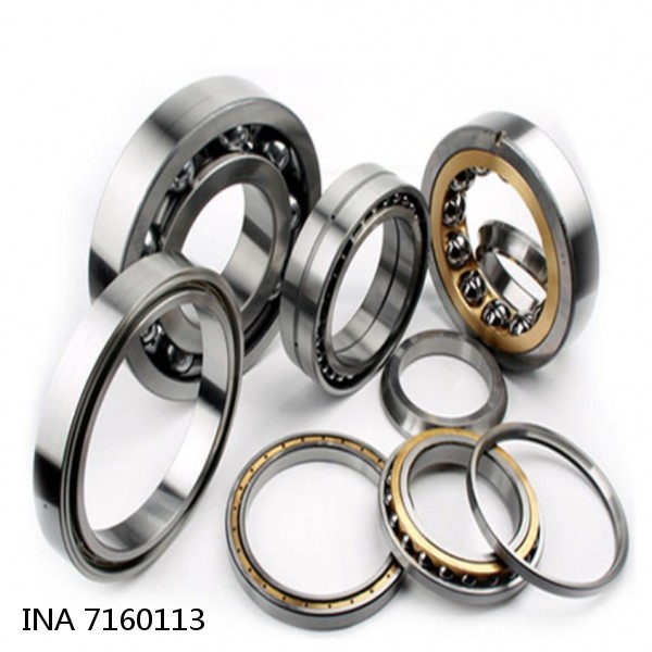 7160113 INA Cylindrical Roller Bearings #1 small image