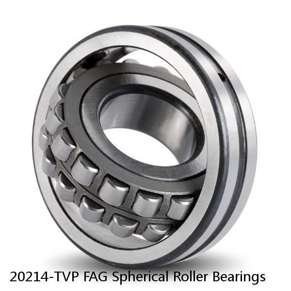 20214-TVP FAG Spherical Roller Bearings #1 small image