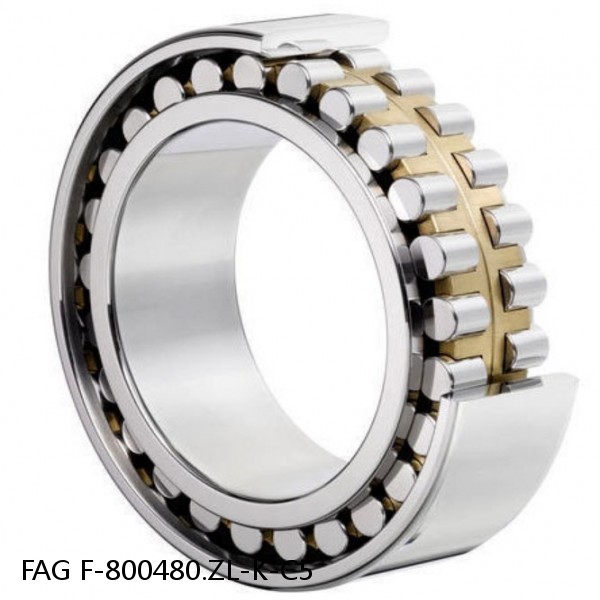 F-800480.ZL-K-C5 FAG Cylindrical Roller Bearings #1 image