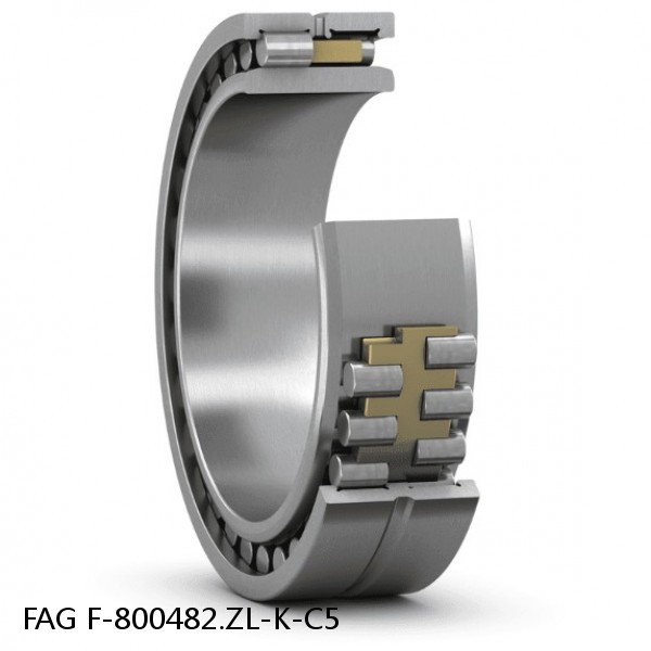 F-800482.ZL-K-C5 FAG Cylindrical Roller Bearings #1 image