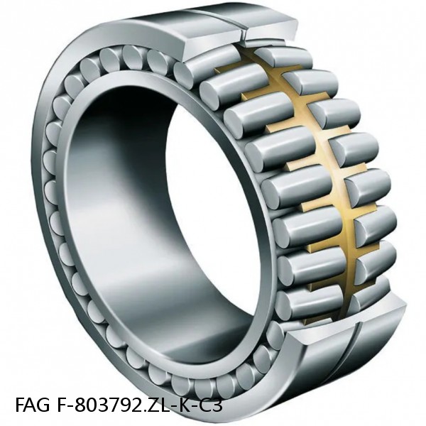 F-803792.ZL-K-C3 FAG Cylindrical Roller Bearings #1 image