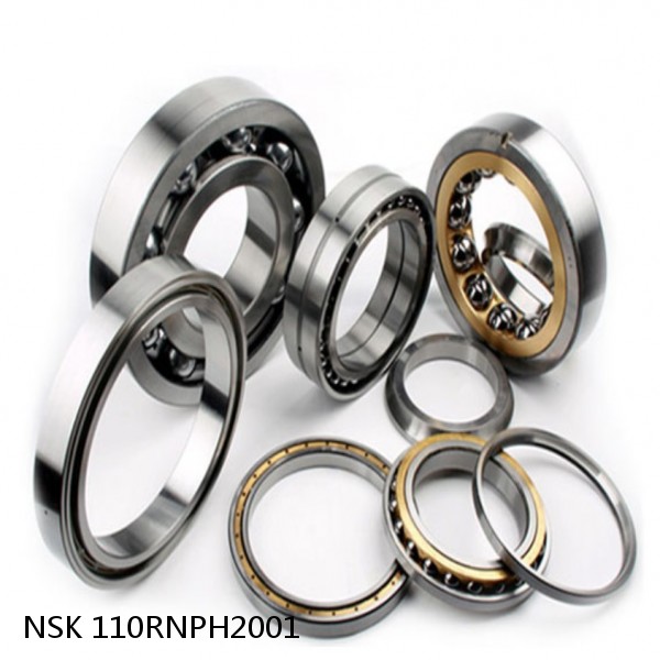 110RNPH2001 NSK Cylindrical Roller Bearings #1 image